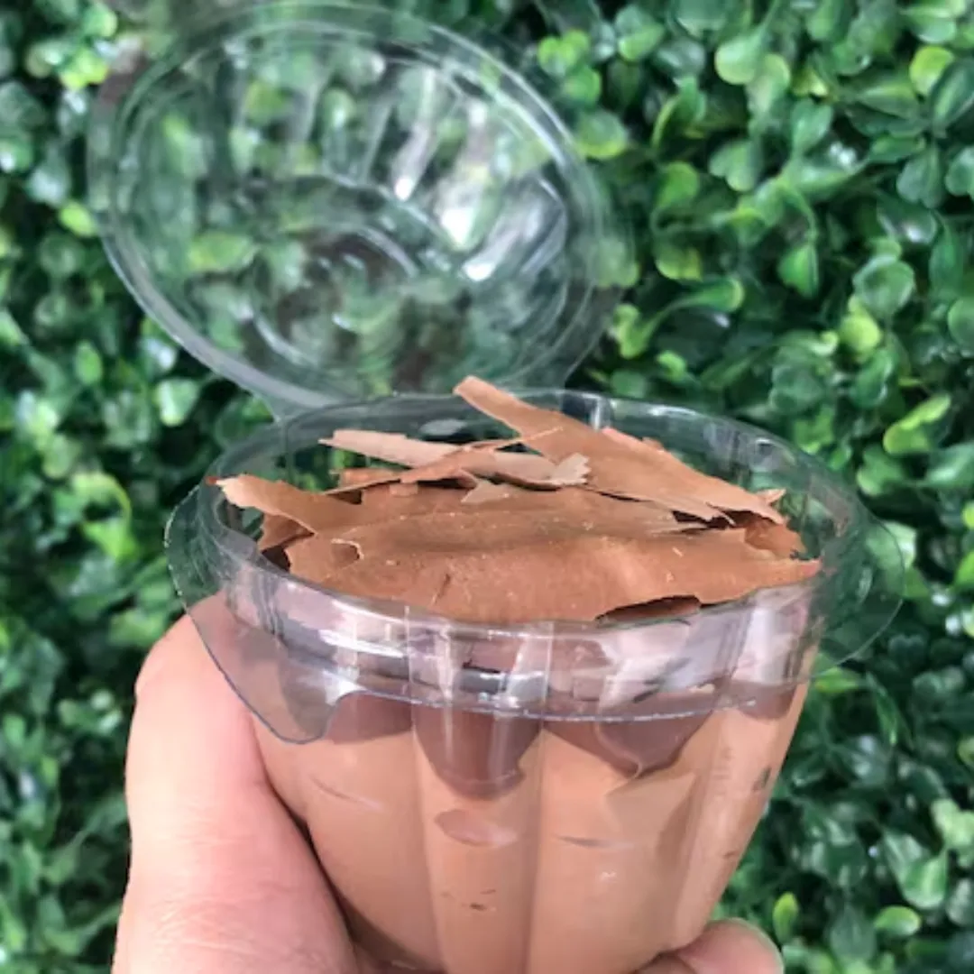 Mousse de chocolate